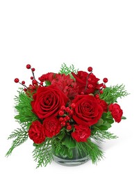 Holly Berries 