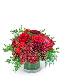 Ruby Red Velvet