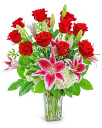Enchanting Dozen