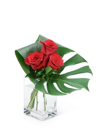 Modern Roses (3)