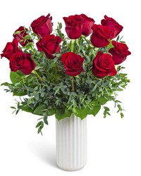 One Dozen Ruby Red Roses