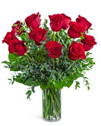 One Dozen Red Hot Roses