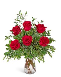 Half Dozen Red Roses