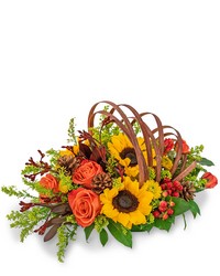 Creative Cornucopia