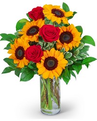 Rosy Sunflowers