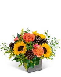 Harvest Sunburst Harmony