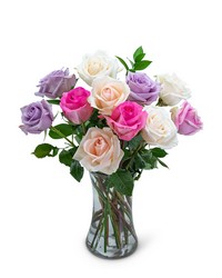 Rainbow's End Roses