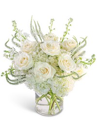 Chantilly Elegance