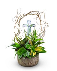 Crystal Garden of Peace 