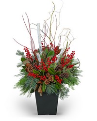 Winter Porch Pot