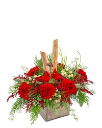 Woodland Cardinal Cheer