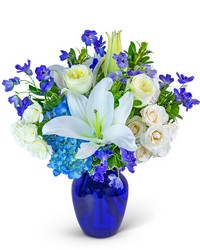 Blue Beauty