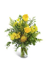 Citrus Zest