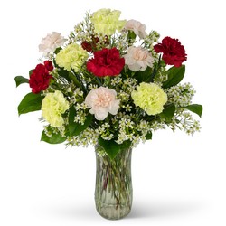 A Dozen Colorful Carnations 
