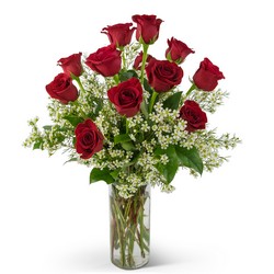 Swoon Over Me Red Roses