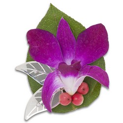 Tropics Boutonniere 