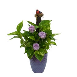 Pothos on Pole with Roses