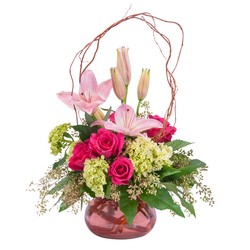 Oh, Beautiful Blooms Oh, Beautiful Blooms