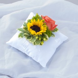 Sunset Pillow Insert 