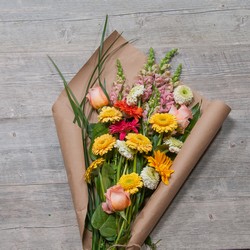 Fresh Market Choice Standard