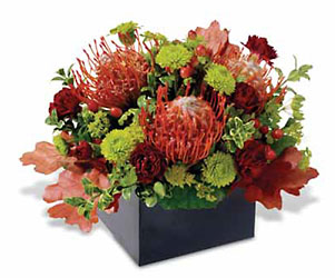 Protea Garden 