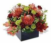 Protea Garden 