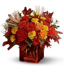 Fine Fall Roses