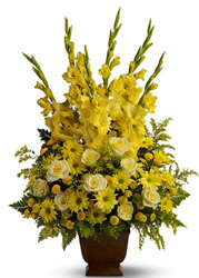 Teleflora's Sunny Memories 