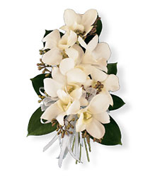 White Dendrobium Corsage